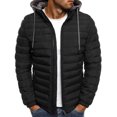 thumbnail image 1 of ITFABS Men Winter Down Jacket, Solid Color Hooded Long Sleeve Zip-Up Outer, 1 of 4