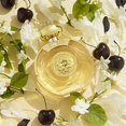 thumbnail image 1 of GUESS Bella Vita Fragrance Shimmer Mist 8.4 Fl Oz, 1 of 3