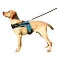 thumbnail image 1 of New K-shaped Luminous LED Harness For Pet Dog Chest Harness For Medium And Large Dogs Night Travel, 1 of 8
