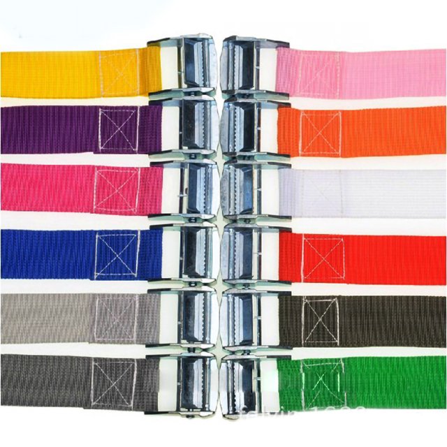 Car Tie Down Lashing Strap With Lock Buckle High Tensile Strength Heavy Duty For Secure4m / 13.1ft Random Color