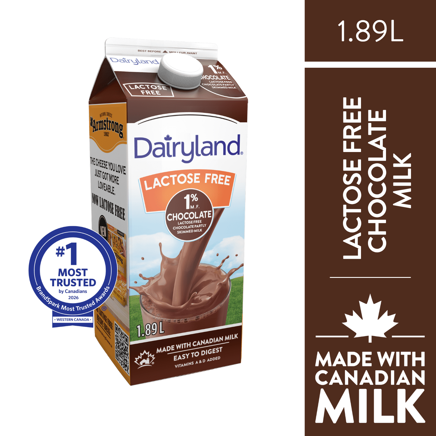 Dairyland Lactose Free Chocolate Milk