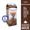 thumbnail image 1 of Dairyland Lactose Free Chocolate Milk, 1 of 7
