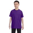 thumbnail image 1 of Hanes 54500 Youth Tagless T-Shirt - Purple - X-Large, 1 of 1
