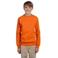 thumbnail image 2 of Hanes ComfortBlend EcoSmart Boy`s Crewneck Sweatshirt, XS, Orange, 2 of 4