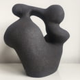 thumbnail image 4 of SIO-2 PRNF Black Sculpture Ceramic Pottery Clay | 4 lb, Cone 5-7 | High Fire Kiln-Fired Clay, 4 of 6