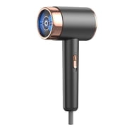 Riforla 2000W Séchoir à cheveux à cordon Sèche-cheveux rechargeable Cold and Hot Air Séchoir à cheveux Séchage rapide Soins des cheveux Gris
