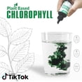 thumbnail image 3 of BENEMAX Liquid Chlorophyll Concentrate in 30mL Squeeze Bottle, 3 of 6
