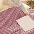 thumbnail image 4 of Soft Blankets and Throws Double Layer Raschel Winter Blanket Soft Warm Bed Sofa Thick Blankets for Winter, 4 of 6