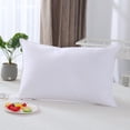thumbnail image 1 of Royal Elite Firm Support Down Combo Pillow, 1 of 5