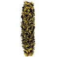 thumbnail image 1 of Vickerman H2GSH100 26-28 in. Basil Giant Half Seed Pods - Medium, 1 of 1