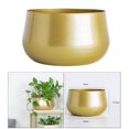 thumbnail image 4 of Brass Pots Indoor Cactus Plant Pot with Drainage Hole, 4 of 8