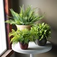 thumbnail image 2 of The HC Companies Sierra Self-Watering Pot with Internal Disk, 16", Arizona Sand, 2 of 3