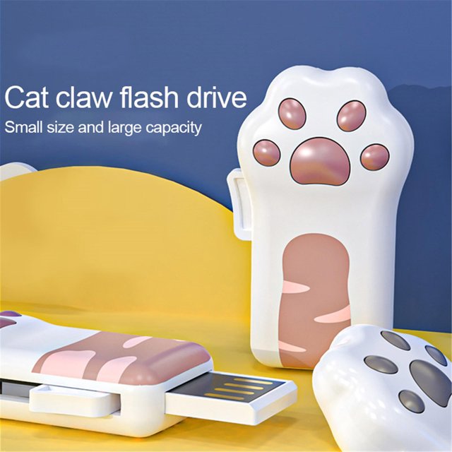 WIFKLSIIPG Clé USB 256 Mo Clé Mémoire Clé USB Clé USB 2.0 Clé USB Haute Vitesse Clé Mémoire Mémoire