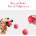 thumbnail image 4 of Solid TPR Pet Balls Bouncy Bite-Resistant Pet Training Bite-Resistant Pet Training Chewing Playing Ball Interactive Toy, 4 of 4