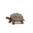 thumbnail image 2 of Schleich Giant Tortoise Wild Life Action Figure, 2 of 4