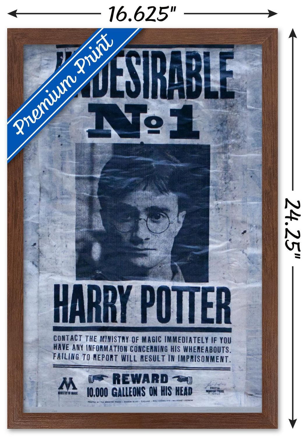 The Wizarding World: Harry Potter - Undesirable Wall Poster, 22.375" x 34"