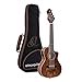 thumbnail image 3 of Ukulélé Acoustique-Électrique de Concert Horizon Series Revese Headstock avec Sac, 3 of 4