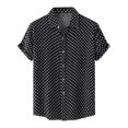 thumbnail image 1 of RKSTN Chemise pour Homme Plage Hawaïenne Décontractée Chemise à Pois Col Rabattu Blouse à Manches Courtes Hauts, 1 of 9