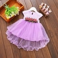 thumbnail image 5 of Robe de Princesse pour Bébé, Tout-Petit, Nourrisson, Enfants, Filles, Été, Florale, Robe de Fête, 0-3 Ans, 5 of 5