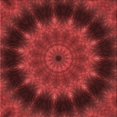 thumbnail image 1 of Ahgly Company Tapis d'Intérieur Lavable en Machine Carré Transitionnel Rouge Canneberge, 6 Pieds Carré, 1 of 7