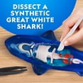 thumbnail image 3 of National Geographic Laboratoire de dissection phosphorescent – Requin (avec Recharge) 6 ans et plus, 3 of 5