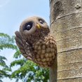 thumbnail image 4 of Garden Decor Tree Owl Decor Outdoor Owl Yard Sculpture Resin Owl Statue Tree Decor, 4 of 10