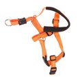 thumbnail image 1 of Dog Head Harness, Dog Head Collar Adjustable Strap Breathable Practical  For Camping Orange,Blue,Red, 1 of 8