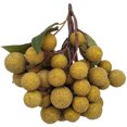 thumbnail image 1 of Coofit Artificial Fruit Realistic Fake Longan Decor Fruit Home Decoration, 1 of 8