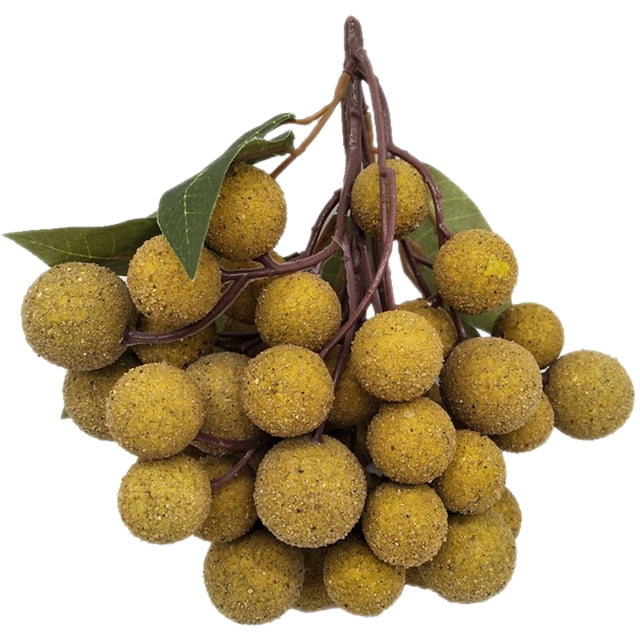 Coofit Artificial Fruit Realistic Fake Longan Decor Fruit Home Decoration
