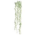 thumbnail image 1 of RoomMates Stickers Muraux String of Pearls Vine, 1 of 3