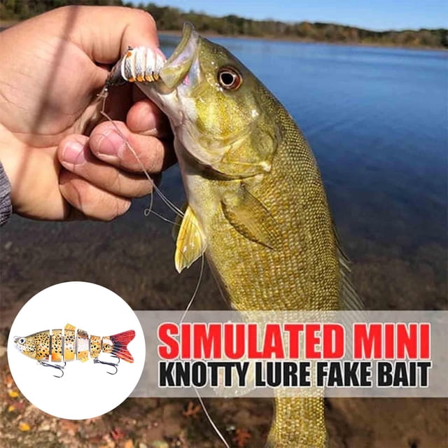 BKER Hameçon de Poisson 3D de Simulation Forme de Poisson Réaliste Fournitures de Pêche pour Lac Rivière pour Amateurs de Pêche Débutants
