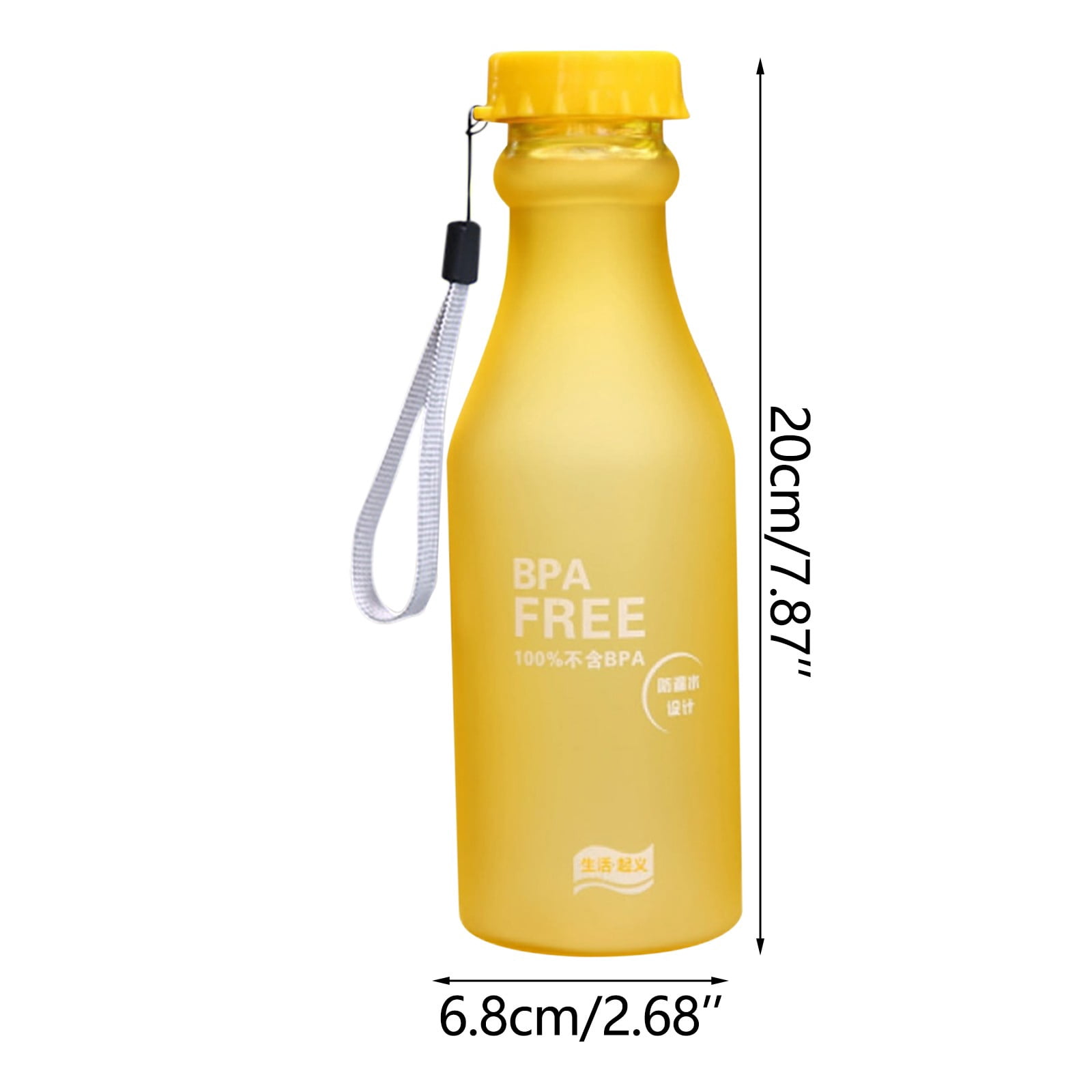EARKITY Water Bottles, BPA-Free Water Bottle, Sports Water Bottle with Strap, Leakproof Water Jug for Fitness, Frosted Plastic Transparent Water Cup for Kids Adult School Gym Office Travel Outdoor