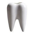 thumbnail image 1 of Desktop Tooth-shape Ceramic Vase Decorative Small Molar Flower Pot for Succulent, 1 of 8