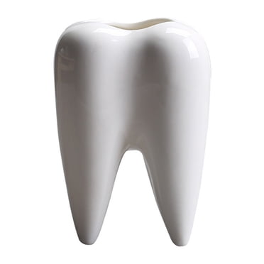 Desktop Tooth-shape Ceramic Vase Decorative Small Molar Flower Pot for Succulent