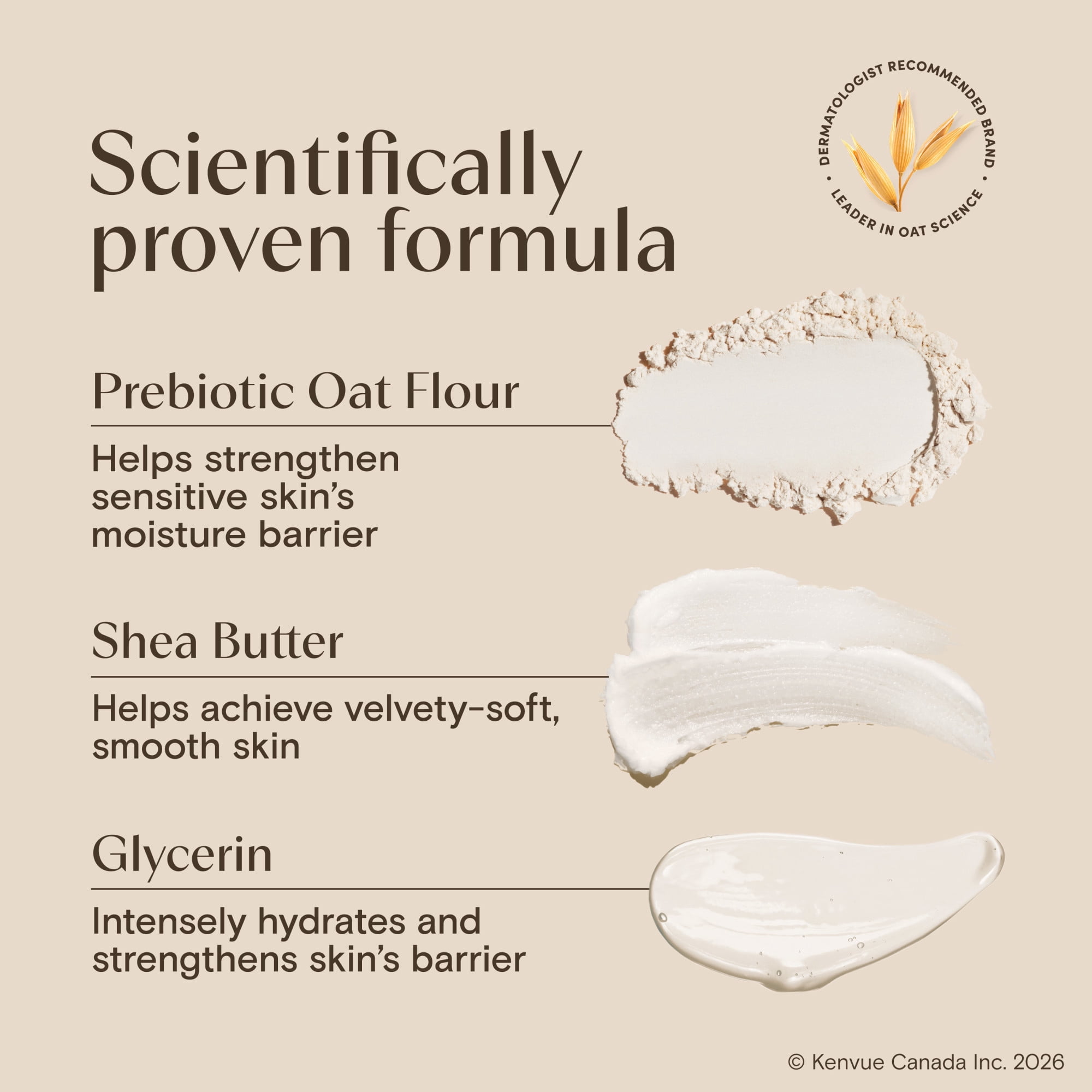 Aveeno Daily Moisturizing Body Wash Shea Butter Berry Scent & Soothing Prebiotic Oat, Provides Long-Lasting Hydration for Sensitive Skin, Hypoallergenic, Paraben-Free, 532 mL