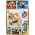 thumbnail image 1 of Keith Kimberlin - Collage de chiots et de chatons, 1 of 4