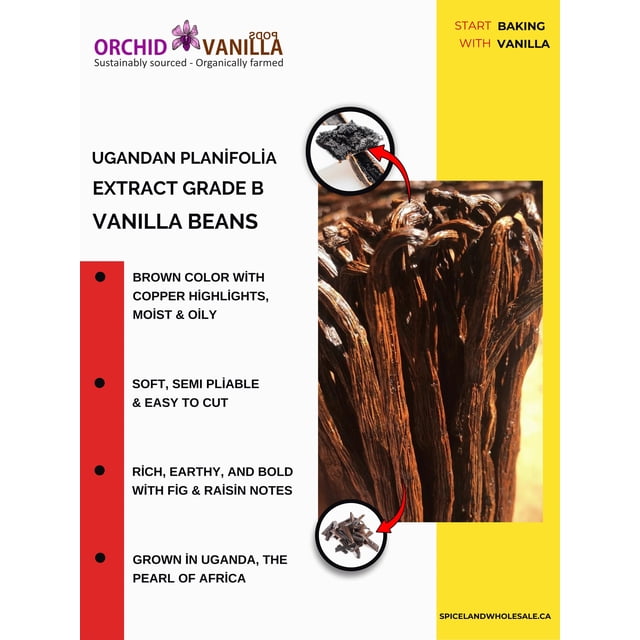 Ugandan Extract Grade Vanilla Beans Grade B - 25 Beans for Homemade Vanilla Extract