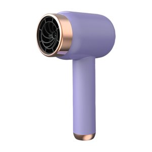 Séchoir à cheveux portable avec technologie de séchage rapide pour le voyage et la maison