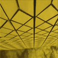 thumbnail image 1 of Ahgly Company Tapis d'Intérieur Lavable en Machine Carré Transitionnel Jaune Foncé Vert, 8 Pieds Carré, 1 of 7