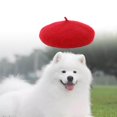thumbnail image 3 of Dog Cat Beret Wool Yard Hat Durable Vacation Birthday Dog Cat Adjustable Elastic Rope Costume Warm Red, 3 of 9