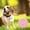 Rose, variante sur Dvkptbk Dispositifs de Suivi Portables Suivi GPS Bluetooth 5.0 Suivi de Clés Mobile Dispositif Intelligent Anti-Perte Dispositif Étanche Outil Localisateur GPS pour Animaux Traceur Bluetooth pour Clés d'Animaux Portefeuille Sac en Liquidation
