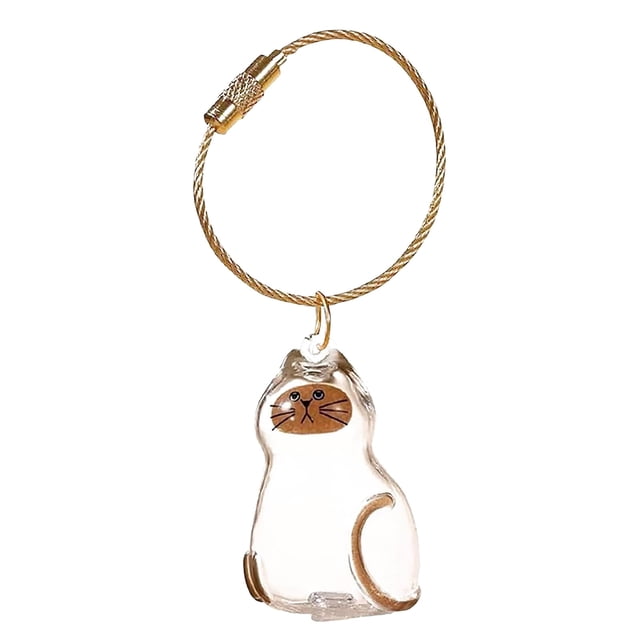 Porte-clés Souvenir de Poils de Chat Bouteille de Rangement Commémorative pour Collectionner les Amoureux des Chats Unique pour les Amoureux des Chats
