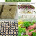thumbnail image 4 of 72 Sets Rockwool Cubes and Net Pots, Water Absorption Strong Air Permeability High Germination Rates 1 Inch Rock Wool Planting Cubes  for Hydroponics, 4 of 7