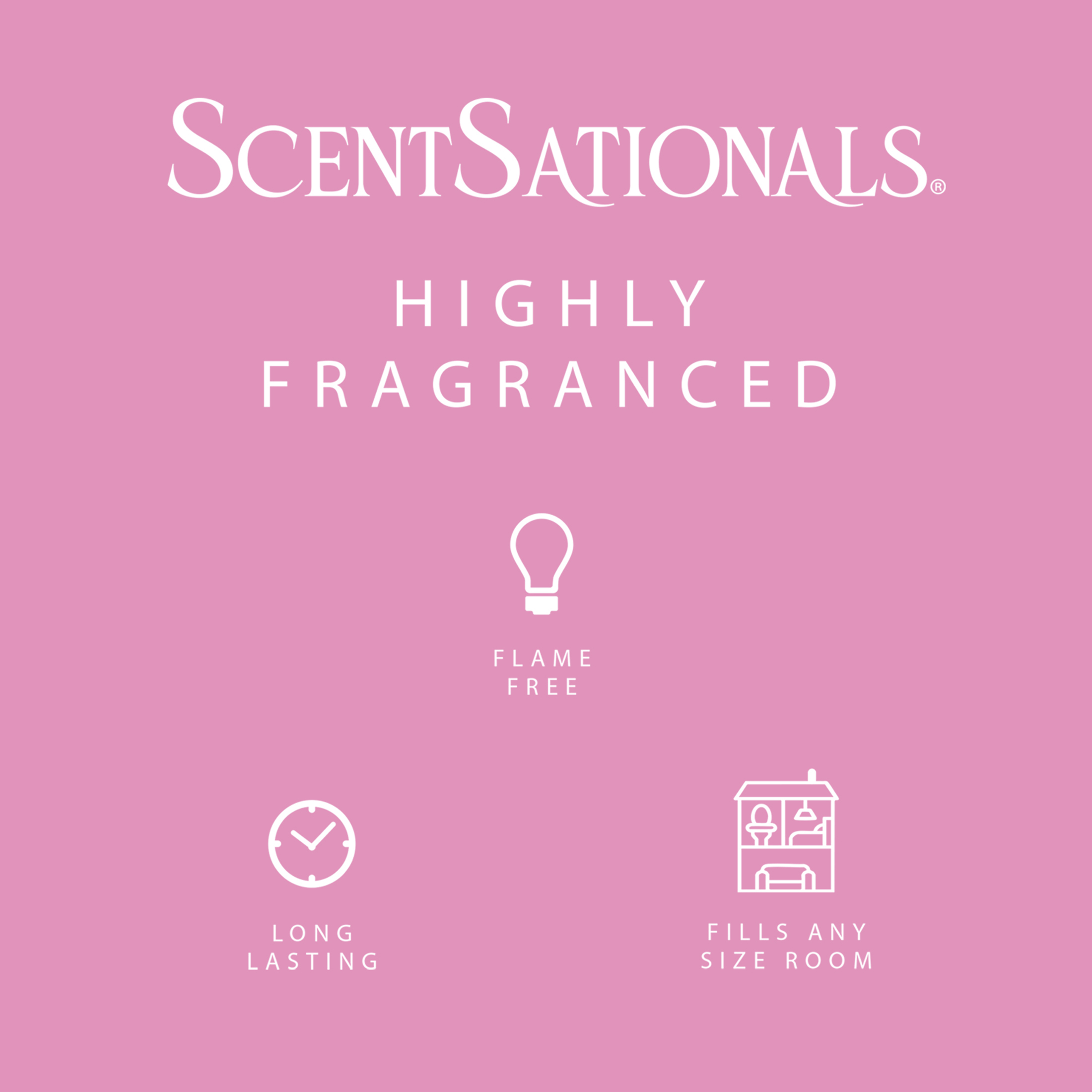 ScentSationals Scented Wax Cubes - Girlfriend Night