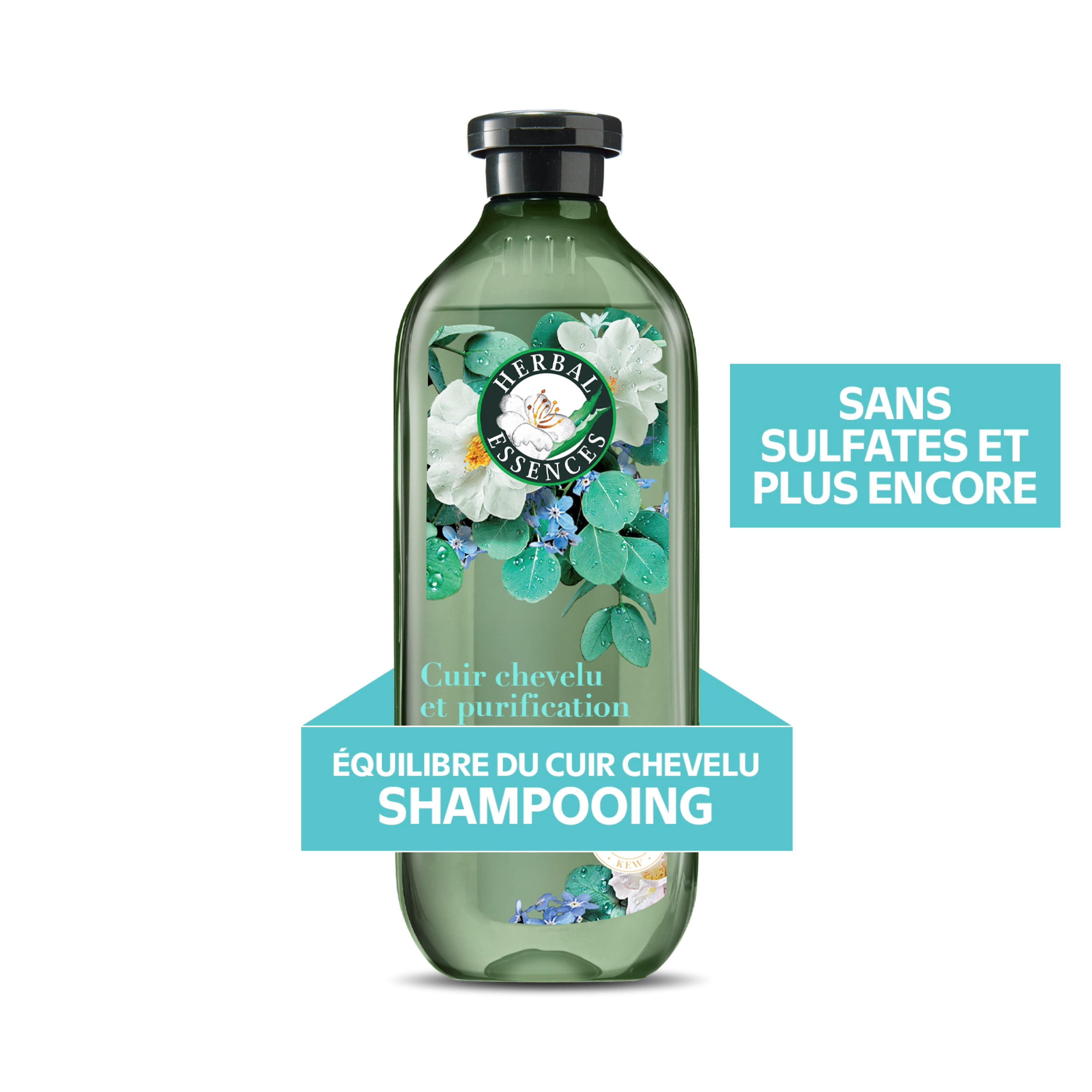 Shampooing Herbal Essences Cuir Chevelu et Purification, Nettoie Le Cuir Chevelu Pour Des Cheveux Doux, Eucalyptus, Sans Sulfate, 400 mL