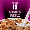 thumbnail image 2 of Raisin Bran 9g Protein Breakfast Cereal, 41.2 oz, 2 of 2