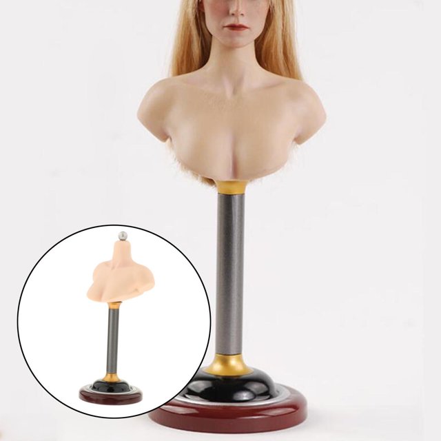 Baohd Sleek and Practical Male Female Bust Stand PVC Model for Wigs Female A 1Set