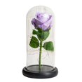 thumbnail image 1 of Everlasting Flower LED Artificial Eternal Rose Glass Cover  Mother Valentines Gift Home Decor, 1 of 6