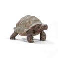 thumbnail image 1 of Schleich Giant Tortoise Wild Life Action Figure, 1 of 4