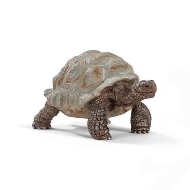 Schleich Tortue géante Figurine Action de Wild Life
